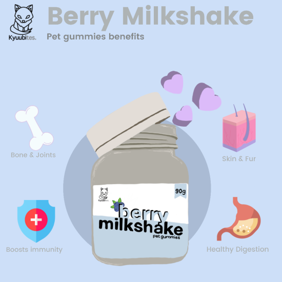 Berry Milkshake Benefits
