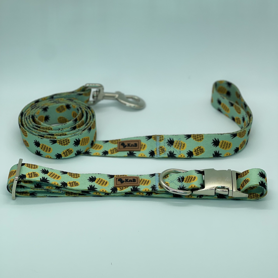 Dog collar and leash set